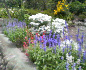 200807301207000.jpg