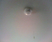 200812271154000.jpg