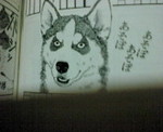 20090529185834.jpg